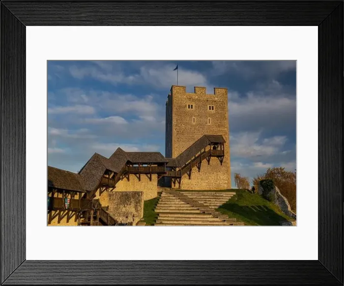 Framed Print : Old caste celje Framed Print : Old caste celje