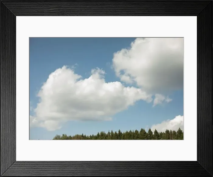 Framed Print : Clouds fly over forest. Spruce forest and sky. Natural landscape. Summer weather Framed Print : Clouds fly over forest. Spruce forest and sky. Natural landscape. Summer weather
