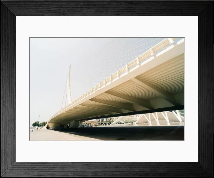 Framed Print : Bridge at the City of Arts and Sciences in Valencia, Spain - may 2023. High quality photo Framed Print : Bridge at the City of Arts and Sciences in Valencia, Spain - may 2023. High quality photo