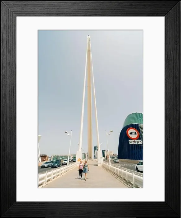 Framed Print : Bridge at the City of Arts and Sciences in Valencia, Spain - may 2023. High quality photo Framed Print : Bridge at the City of Arts and Sciences in Valencia, Spain - may 2023. High quality photo