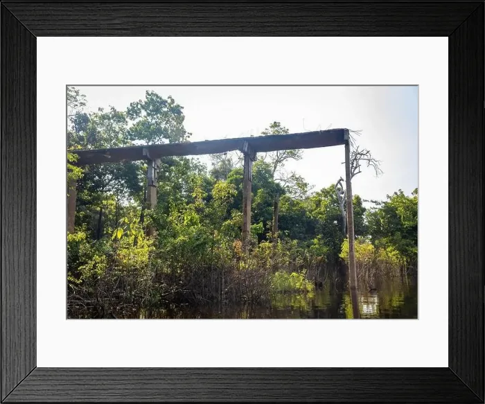Framed Print : View of once famous Ariau hotel ruins near Manaus Brazil from above Framed Print : View of once famous Ariau hotel ruins near Manaus Brazil from above