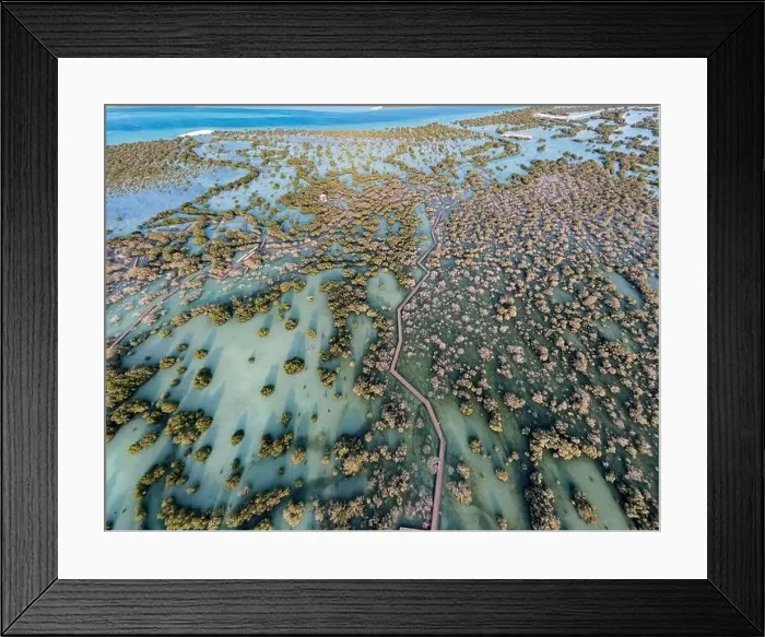 Framed Print : Aerial view of mangroves in Abu Dhabi. Special eco system, natural environment Framed Print : Aerial view of mangroves in Abu Dhabi. Special eco system, natural environment