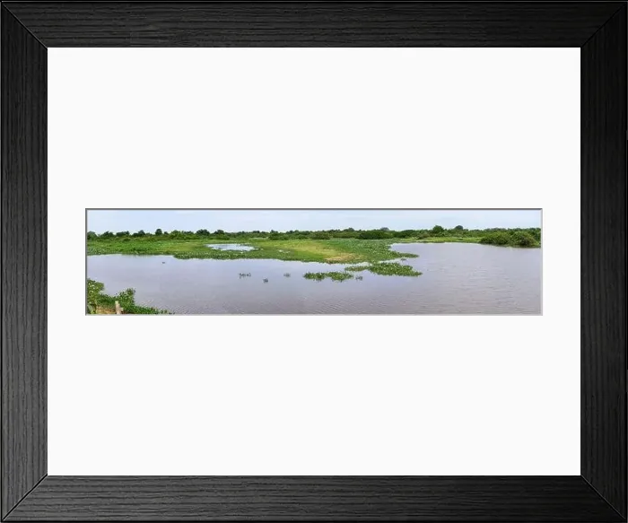 Framed Print : Panoramic aerial view of typical landscape with lagoons and forests, Pantanal Wetlands, Mato Grosso Framed Print : Panoramic aerial view of typical landscape with lagoons and forests, Pantanal Wetlands, Mato Grosso