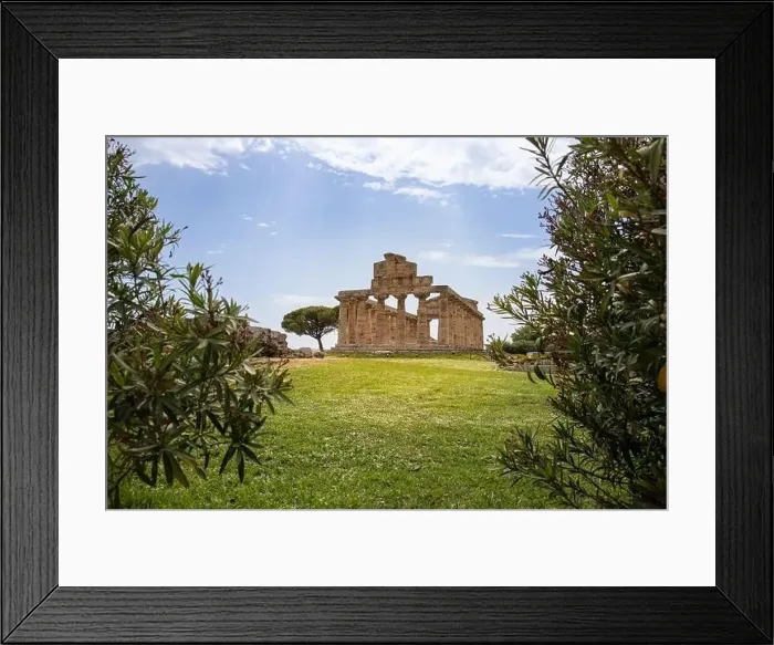 Framed Print : Archaeological Park Paestum historical ruins of temples of Roman times Campania Salerno Italy Framed Print : Archaeological Park Paestum historical ruins of temples of Roman times Campania Salerno Italy
