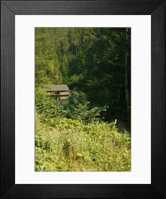 Framed Print : Little wooden hut at Schwarzleobach hidden behind trees near Leogang, Austria Framed Print : Little wooden hut at Schwarzleobach hidden behind trees near Leogang, Austria