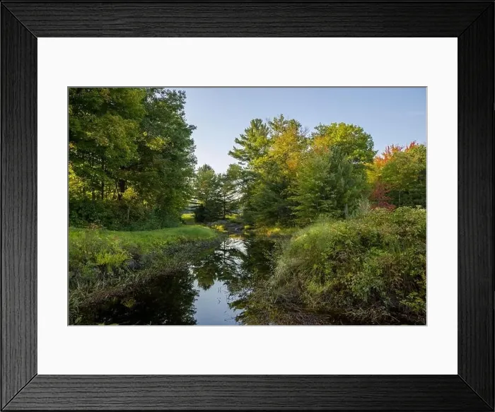 Framed Print : Nature landscape view of a mountain river in a coniferous forest Framed Print : Nature landscape view of a mountain river in a coniferous forest
