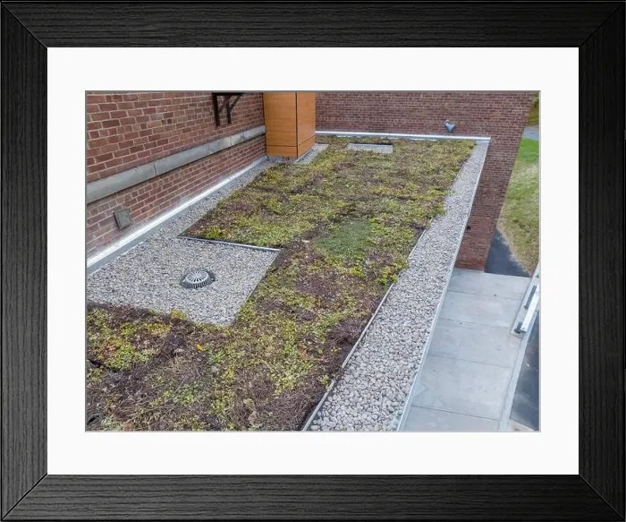 Framed Print : Aerial image of a new vegetation, green, roof Framed Print : Aerial image of a new vegetation, green, roof