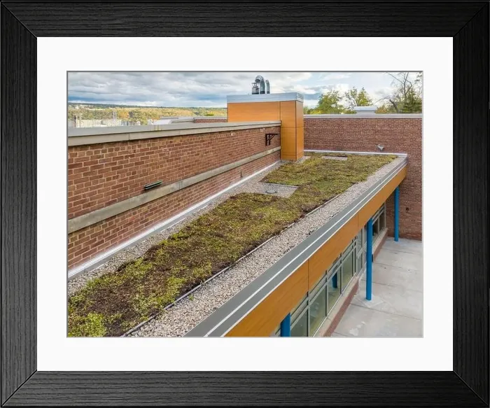 Framed Print : Aerial image of a new vegetation, green, roof Framed Print : Aerial image of a new vegetation, green, roof