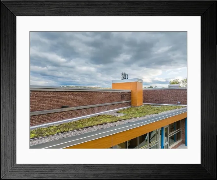 Framed Print : Aerial image of a new vegetation, green, roof Framed Print : Aerial image of a new vegetation, green, roof