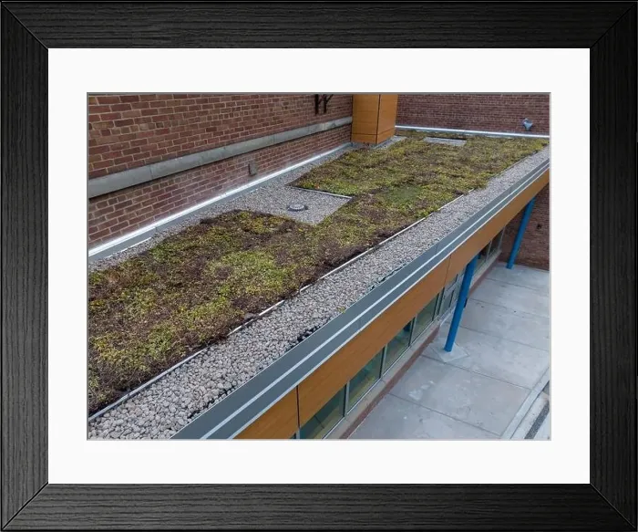 Framed Print : Aerial image of a new vegetation, green, roof Framed Print : Aerial image of a new vegetation, green, roof