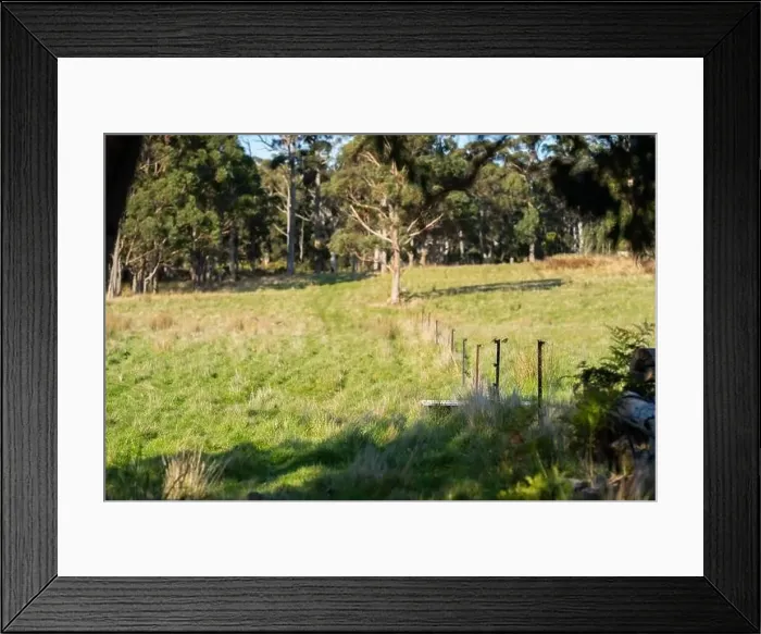 Framed Print : ranch farming landscape, with rolling hills and cows in fields, in Australia Framed Print : ranch farming landscape, with rolling hills and cows in fields, in Australia