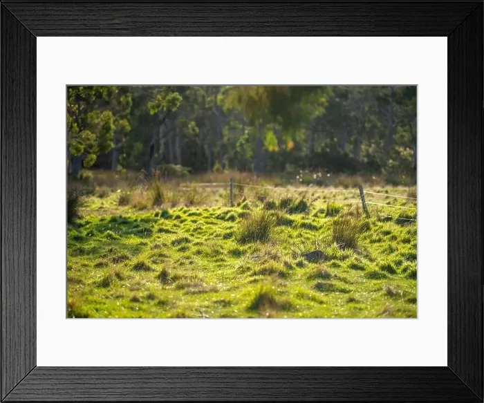 Framed Print : ranch farming landscape, with rolling hills and cows in fields, in Australia Framed Print : ranch farming landscape, with rolling hills and cows in fields, in Australia