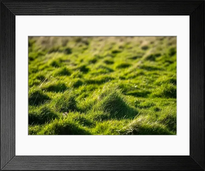 Framed Print : ranch farming landscape, with rolling hills and cows in fields, in Australia Framed Print : ranch farming landscape, with rolling hills and cows in fields, in Australia
