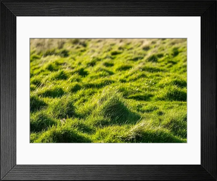 Framed Print : ranch farming landscape, with rolling hills and cows in fields, in Australia Framed Print : ranch farming landscape, with rolling hills and cows in fields, in Australia