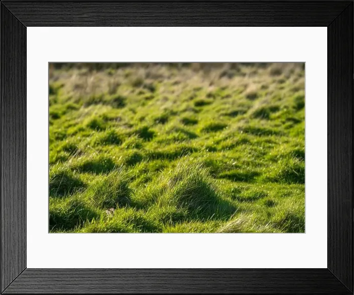 Framed Print : ranch farming landscape, with rolling hills and cows in fields, in Australia Framed Print : ranch farming landscape, with rolling hills and cows in fields, in Australia