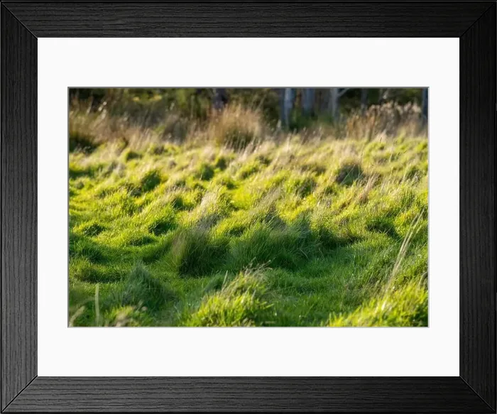 Framed Print : ranch farming landscape, with rolling hills and cows in fields, in Australia Framed Print : ranch farming landscape, with rolling hills and cows in fields, in Australia