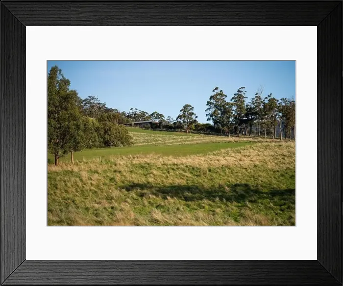 Framed Print : ranch farming landscape, with rolling hills and cows in fields, in Australia Framed Print : ranch farming landscape, with rolling hills and cows in fields, in Australia