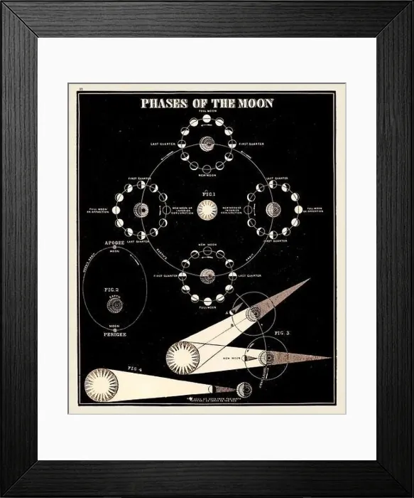 Framed Print : Antique astronomy illustration. Phases of the Moon. Circa 1850 Framed Print : Antique astronomy illustration. Phases of the Moon. Circa 1850