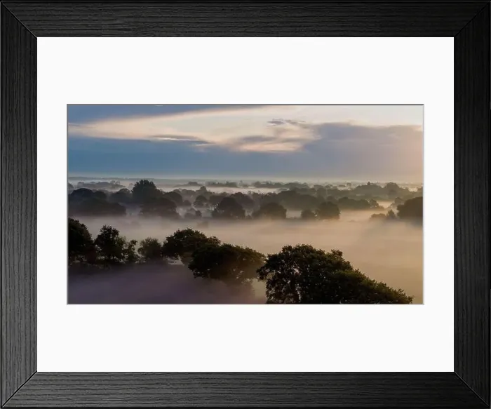 Framed Print : Early morning mist or fog creeping across the fields and woods near Emsworth in Hampshire Framed Print : Early morning mist or fog creeping across the fields and woods near Emsworth in Hampshire