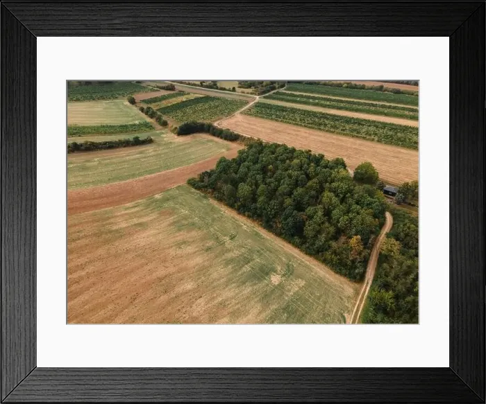 Framed Print : Drone view down on agriculture crop land with wheat fields and Vineyards Framed Print : Drone view down on agriculture crop land with wheat fields and Vineyards