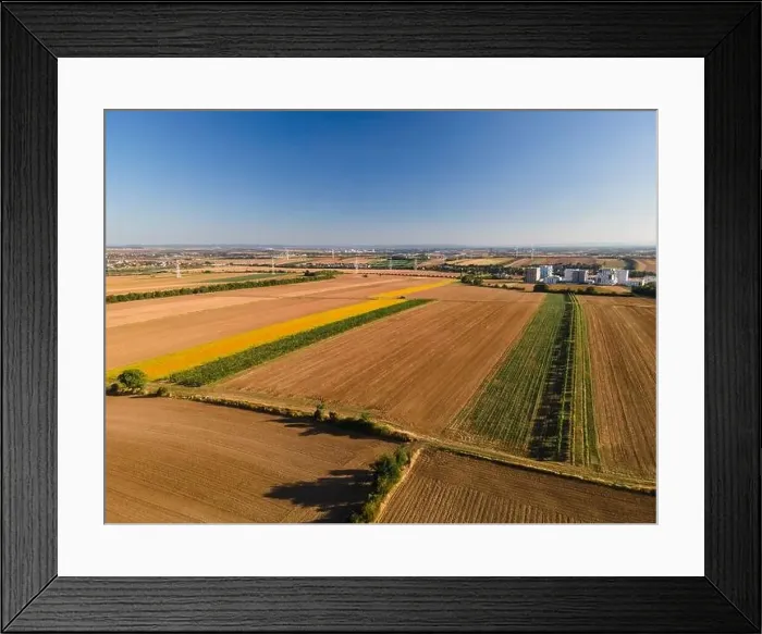 Framed Print : Drone view down on agriculture crop land with wheat fields and Vineyards in Vienna Framed Print : Drone view down on agriculture crop land with wheat fields and Vineyards in Vienna
