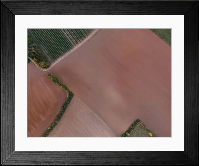 Framed Print : Drone view down on agriculture crop land with wheat fields and Vineyards Framed Print : Drone view down on agriculture crop land with wheat fields and Vineyards