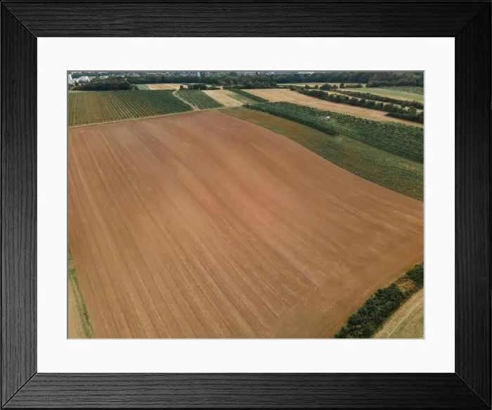 Framed Print : Drone view down on agriculture crop land with wheat fields and Vineyards Framed Print : Drone view down on agriculture crop land with wheat fields and Vineyards