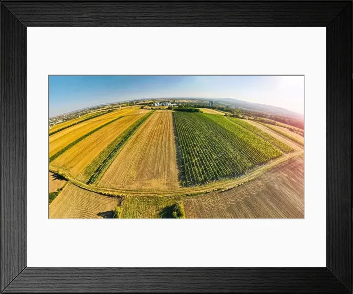 Framed Print : Fisheye Drone view down on agriculture crop land with wheat fields and Vineyards in Vienna