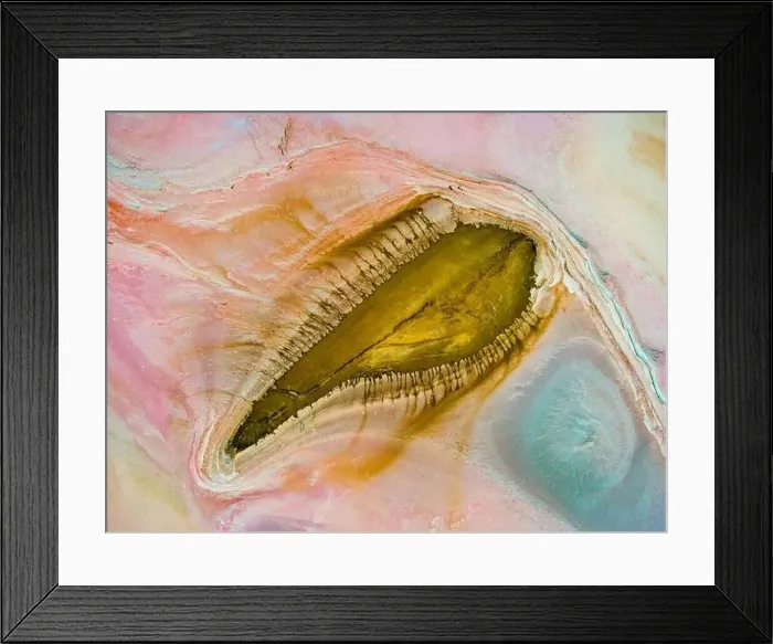 Framed Print : Salt Amoeba Framed Print : Salt Amoeba
