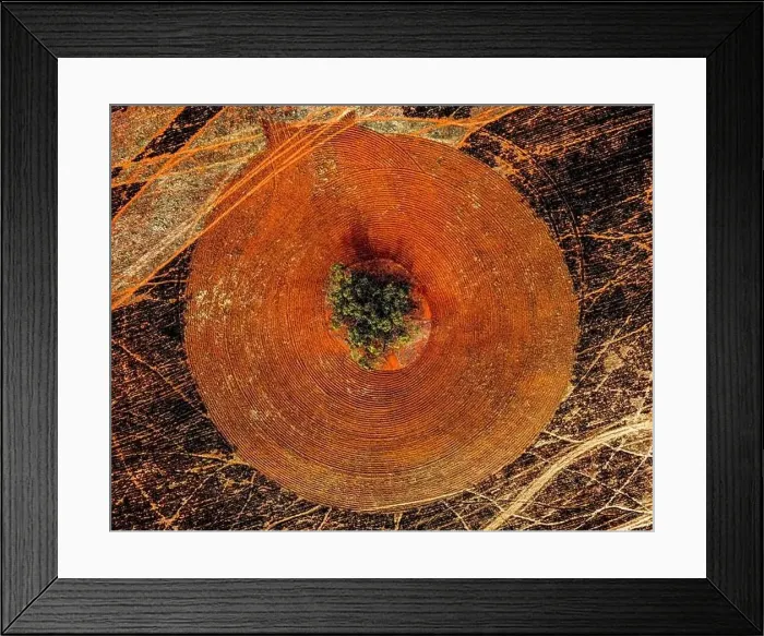 Framed Print : an aerial, top-down view of a burnt and ploughed field with a single tree in the center Framed Print : an aerial, top-down view of a burnt and ploughed field with a single tree in the center