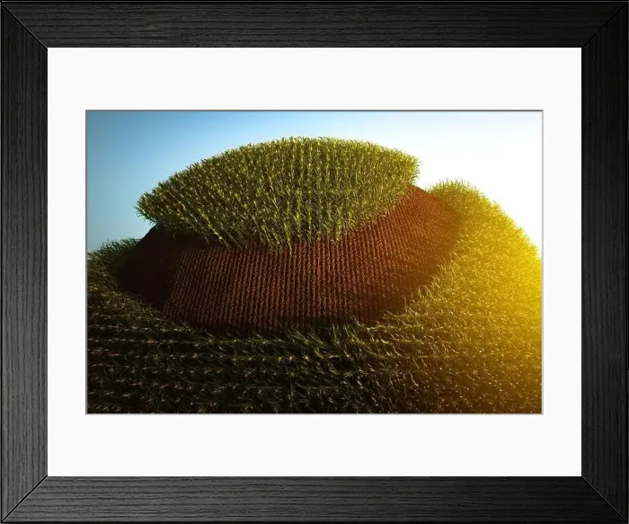 Framed Print : Abstract spherical corn field on a blue background. Corn plants with cobs 3D Framed Print : Abstract spherical corn field on a blue background. Corn plants with cobs 3D
