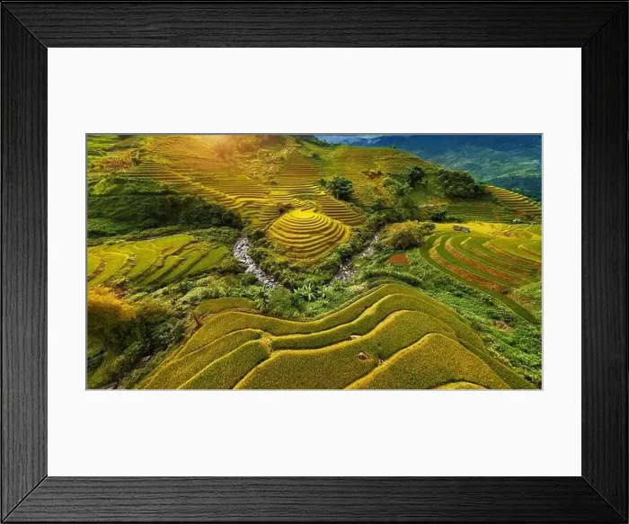 Framed Print : Aerial view of Rice terraces in Mu cang chai, Vietnam Framed Print : Aerial view of Rice terraces in Mu cang chai, Vietnam