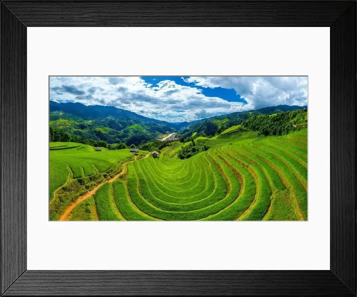 Framed Print : Aerial view of Rice terraces in Mu cang chai, Vietnam Framed Print : Aerial view of Rice terraces in Mu cang chai, Vietnam
