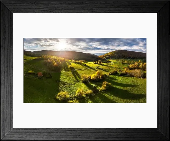 Framed Print : Wonderful autumn colored forest Framed Print : Wonderful autumn colored forest