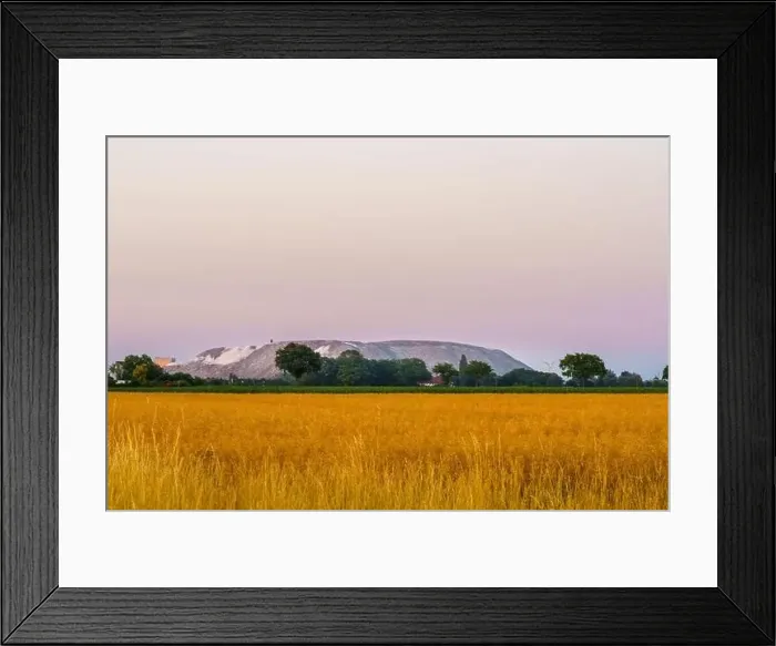 Framed Print : Sunset over a cornfield with ripe golden ears Framed Print : Sunset over a cornfield with ripe golden ears