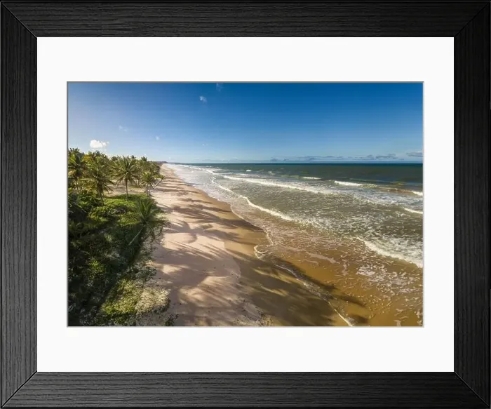 Framed Print : Aerial view deserted beach with coconut trees on the coast of bahia brazil Framed Print : Aerial view deserted beach with coconut trees on the coast of bahia brazil