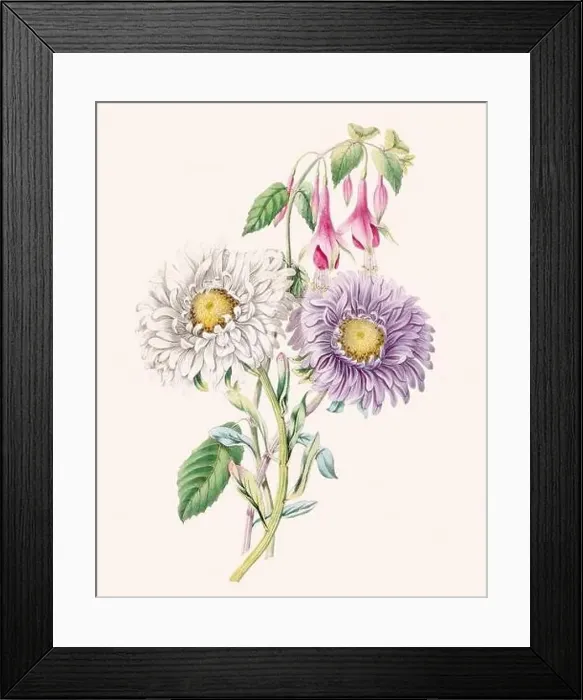 Framed Print : Beautiful bouquet of flowers Framed Print : Beautiful bouquet of flowers