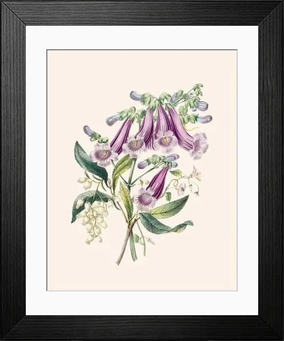 Framed Print : Beautiful bouquet of flowers Framed Print : Beautiful bouquet of flowers