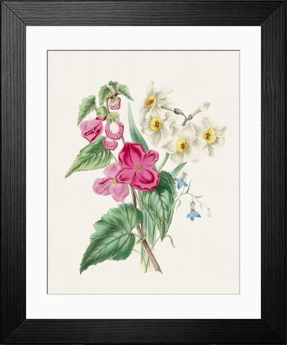 Framed Print : Beautiful bouquet of flowers Framed Print : Beautiful bouquet of flowers