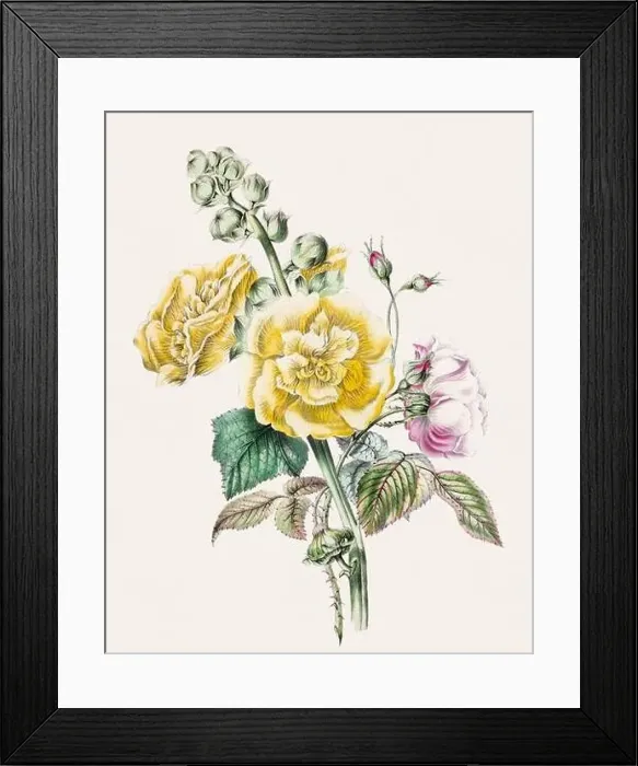 Framed Print : Beautiful bouquet of flowers Framed Print : Beautiful bouquet of flowers
