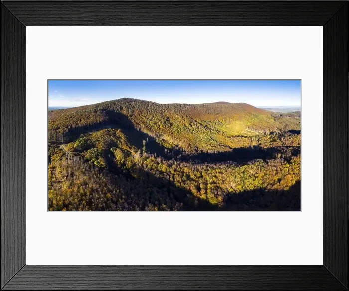 Framed Print : Aerial view of forest with red trees on mountain in fall in Slovakia Framed Print : Aerial view of forest with red trees on mountain in fall in Slovakia