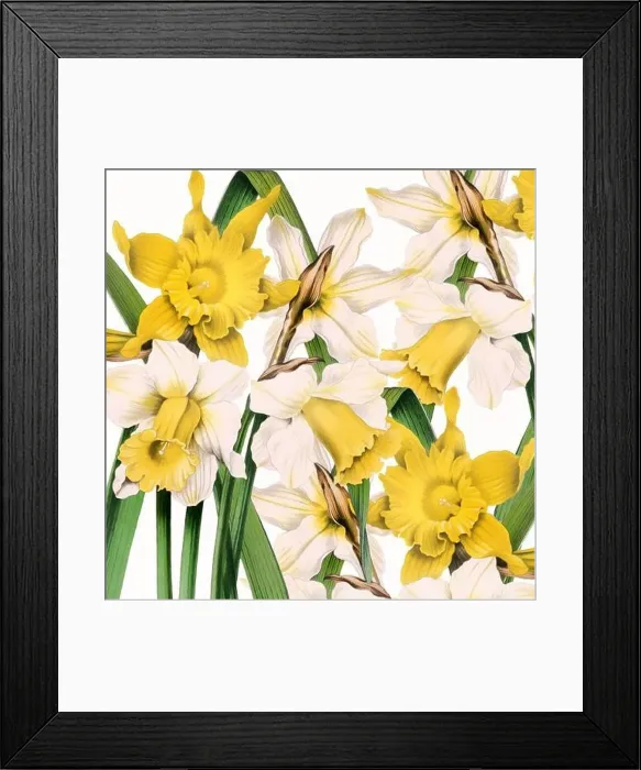 Framed Print : Digital floral watercolor vibes on textured white Framed Print : Digital floral watercolor vibes on textured white