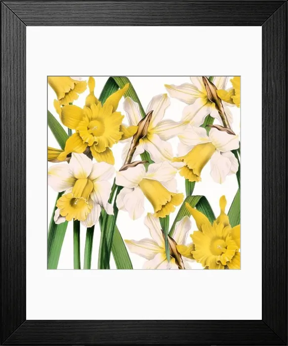 Framed Print : Digital floral watercolor vibes on textured white Framed Print : Digital floral watercolor vibes on textured white