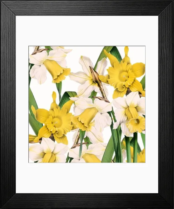 Framed Print : Digital floral watercolor vibes on textured white Framed Print : Digital floral watercolor vibes on textured white