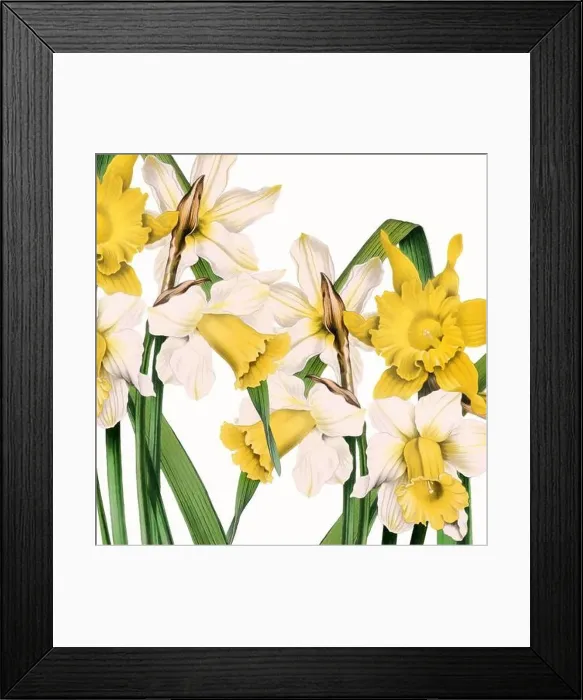 Framed Print : Digital floral watercolor vibes on textured white Framed Print : Digital floral watercolor vibes on textured white