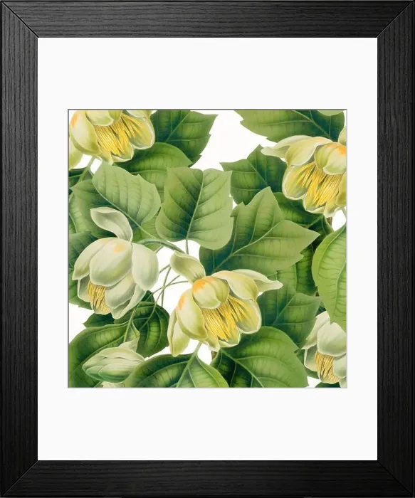 Framed Print : Digital floral watercolor vibes on textured white Framed Print : Digital floral watercolor vibes on textured white