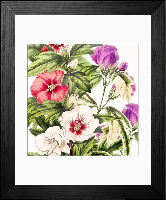 Framed Print : Digital floral watercolor vibes on textured white Framed Print : Digital floral watercolor vibes on textured white