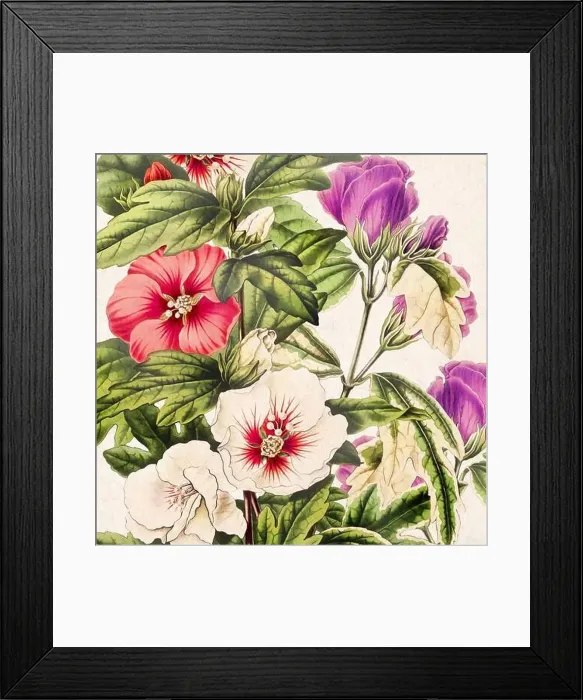Framed Print : Digital floral watercolor vibes on textured beige Framed Print : Digital floral watercolor vibes on textured beige