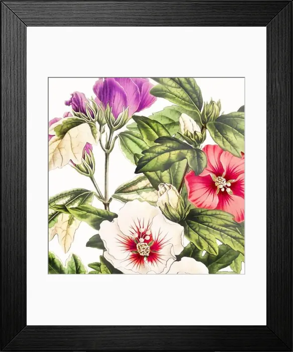Framed Print : Digital floral watercolor vibes on textured white Framed Print : Digital floral watercolor vibes on textured white