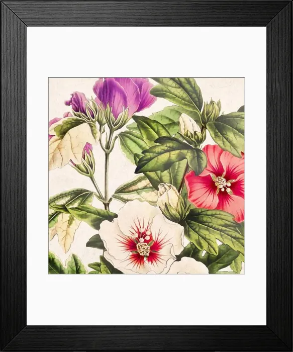 Framed Print : Digital floral watercolor vibes on textured beige Framed Print : Digital floral watercolor vibes on textured beige